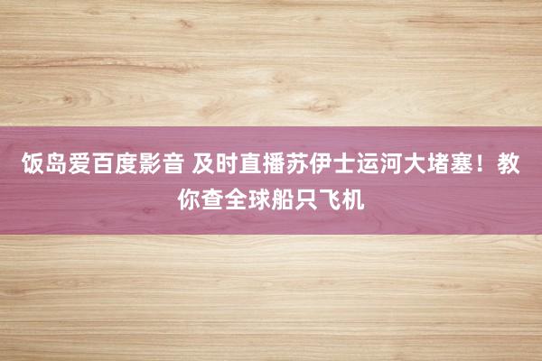 饭岛爱百度影音 及时直播苏伊士运河大堵塞！教你查全球船只飞机