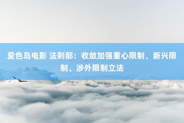 爱色岛电影 法则部：收敛加强重心限制、新兴限制、涉外限制立法