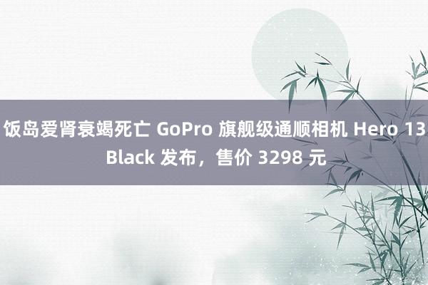 饭岛爱肾衰竭死亡 GoPro 旗舰级通顺相机 Hero 13 Black 发布，售价 3298 元