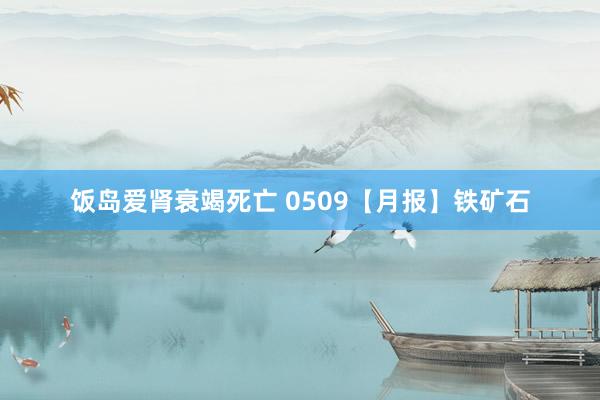 饭岛爱肾衰竭死亡 0509【月报】铁矿石