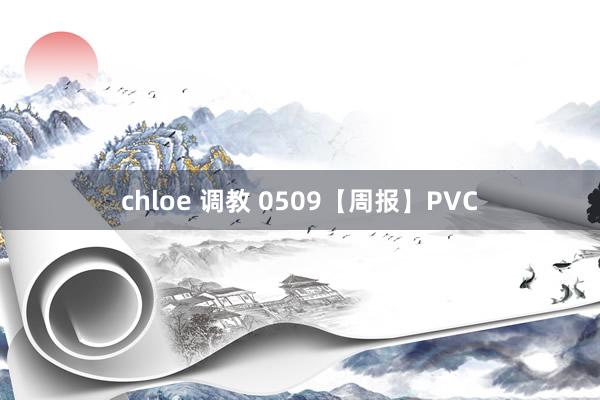 chloe 调教 0509【周报】PVC