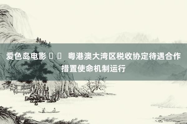 爱色岛电影 		 粤港澳大湾区税收协定待遇合作措置使命机制运行