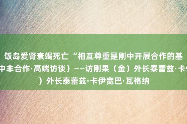 饭岛爱肾衰竭死亡 “相互尊重是刚中开展合作的基础”（新期间中非合作·高端访谈）——访刚果（金）外长泰蕾兹·卡伊宽巴·瓦格纳