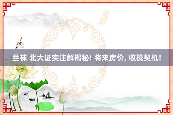 丝袜 北大证实注解揭秘! 将来房价， 收拢契机!