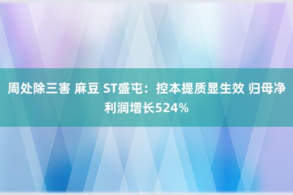 周处除三害 麻豆 ST盛屯：控本提质显生效 归母净利润增长524%