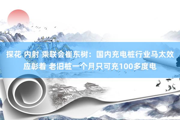 探花 内射 乘联会崔东树：国内充电桩行业马太效应彰着 老旧桩一个月只可充100多度电