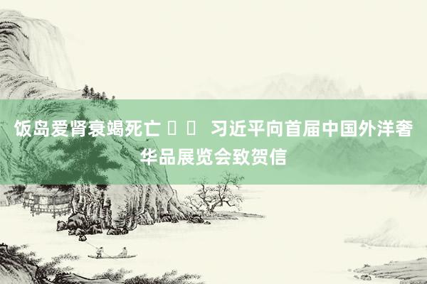 饭岛爱肾衰竭死亡 		 习近平向首届中国外洋奢华品展览会致贺信