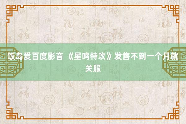 饭岛爱百度影音 《星鸣特攻》发售不到一个月就关服