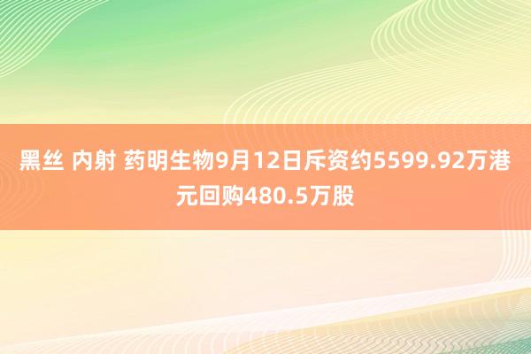 黑丝 内射 药明生物9月12日斥资约5599.92万港元回购480.5万股