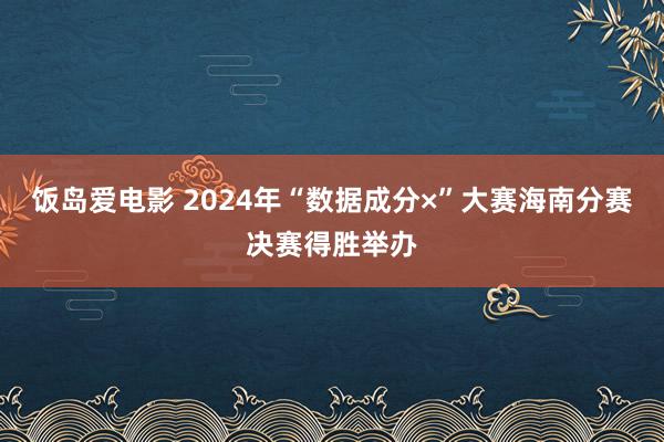 饭岛爱电影 2024年“数据成分×”大赛海南分赛决赛得胜举办