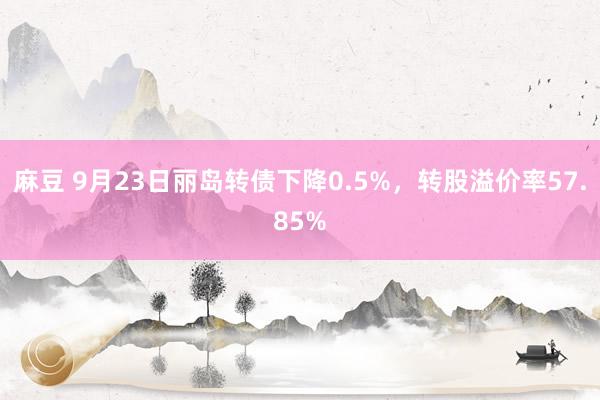 麻豆 9月23日丽岛转债下降0.5%，转股溢价率57.85%