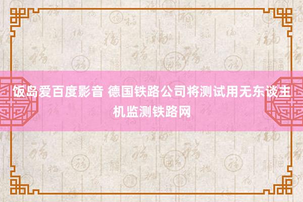 饭岛爱百度影音 德国铁路公司将测试用无东谈主机监测铁路网