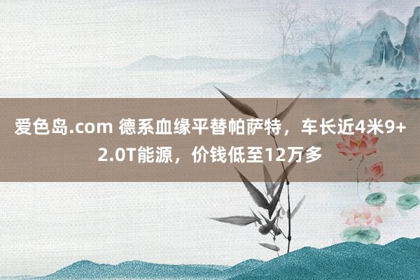 爱色岛.com 德系血缘平替帕萨特，车长近4米9+2.0T能源，价钱低至12万多