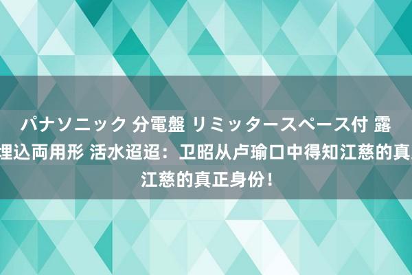 パナソニック 分電盤 リミッタースペース付 露出・半埋込両用形 活水迢迢：卫昭从卢瑜口中得知江慈的真正身份！