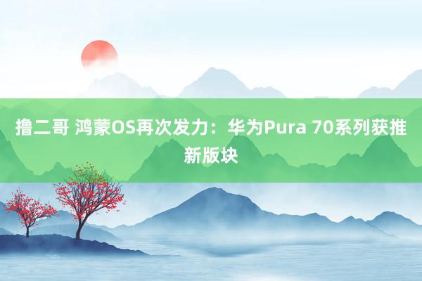 撸二哥 鸿蒙OS再次发力：华为Pura 70系列获推新版块