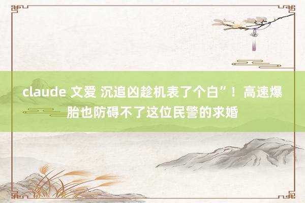 claude 文爱 沉追凶趁机表了个白”！高速爆胎也防碍不了这位民警的求婚