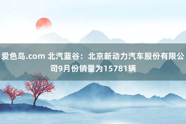 爱色岛.com 北汽蓝谷：北京新动力汽车股份有限公司9月份销量为15781辆