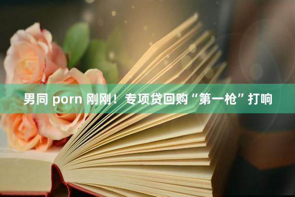 男同 porn 刚刚！专项贷回购“第一枪”打响