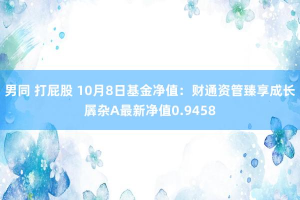 男同 打屁股 10月8日基金净值：财通资管臻享成长羼杂A最新净值0.9458