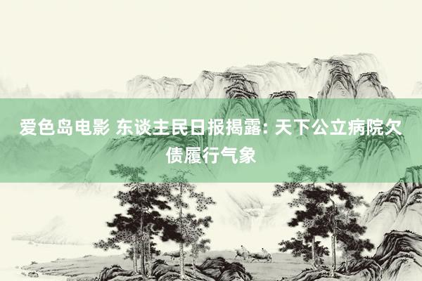 爱色岛电影 东谈主民日报揭露: 天下公立病院欠债履行气象