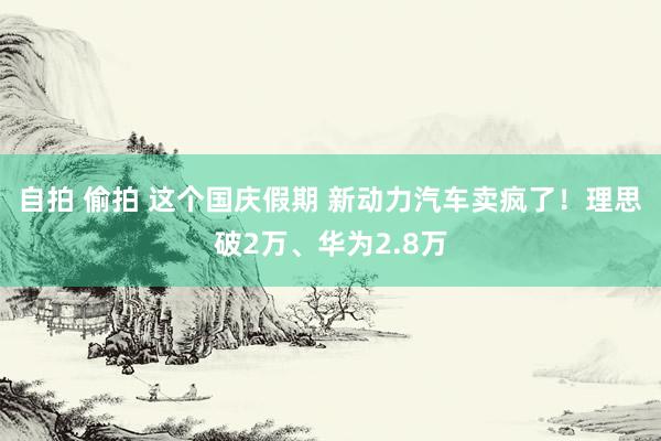 自拍 偷拍 这个国庆假期 新动力汽车卖疯了！理思破2万、华为2.8万