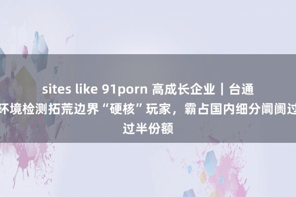 sites like 91porn 高成长企业｜台通科技：环境检测拓荒边界“硬核”玩家，霸占国内细分阛阓过半份额