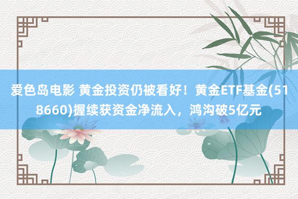 爱色岛电影 黄金投资仍被看好！黄金ETF基金(518660)握续获资金净流入，鸿沟破5亿元