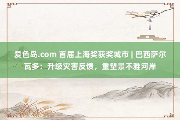 爱色岛.com 首届上海奖获奖城市 | 巴西萨尔瓦多：升级灾害反馈，重塑景不雅河岸