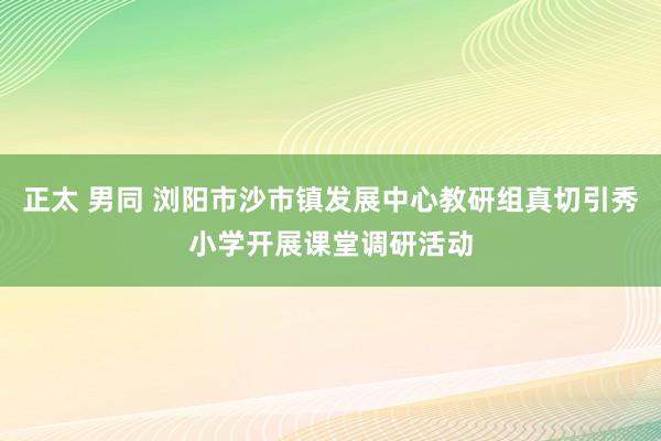 正太 男同 浏阳市沙市镇发展中心教研组真切引秀小学开展课堂调研活动