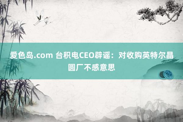 爱色岛.com 台积电CEO辟谣：对收购英特尔晶圆厂不感意思