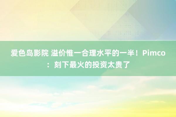 爱色岛影院 溢价惟一合理水平的一半！Pimco：刻下最火的投资太贵了