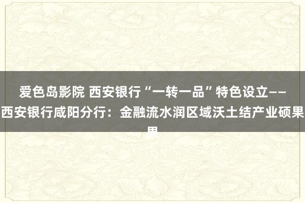 爱色岛影院 西安银行“一转一品”特色设立——西安银行咸阳分行：金融流水润区域沃土结产业硕果