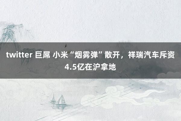 twitter 巨屌 小米“烟雾弹”散开，祥瑞汽车斥资4.5亿在沪拿地