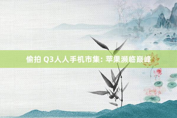 偷拍 Q3人人手机市集: 苹果濒临巅峰