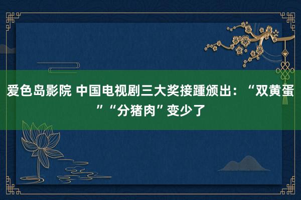 爱色岛影院 中国电视剧三大奖接踵颁出：“双黄蛋”“分猪肉”变少了