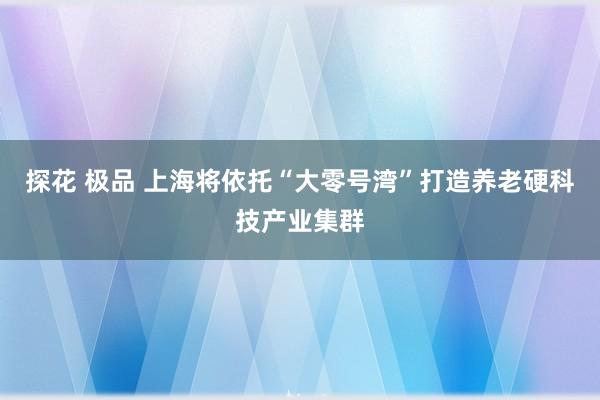 探花 极品 上海将依托“大零号湾”打造养老硬科技产业集群