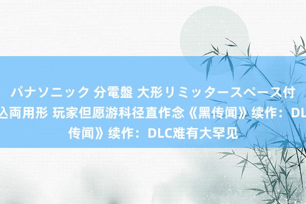 パナソニック 分電盤 大形リミッタースペース付 露出・半埋込両用形 玩家但愿游科径直作念《黑传闻》续作：DLC难有大罕见