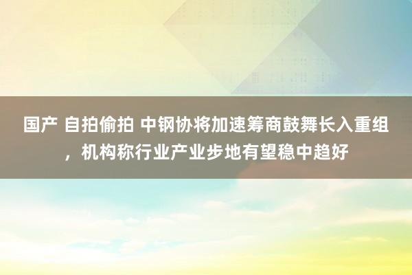 国产 自拍偷拍 中钢协将加速筹商鼓舞长入重组，机构称行业产业步地有望稳中趋好