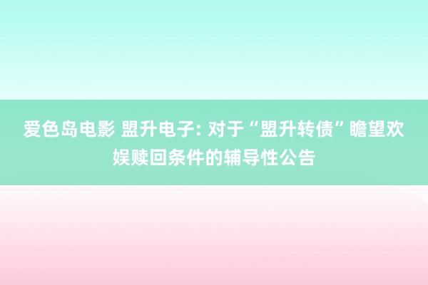 爱色岛电影 盟升电子: 对于“盟升转债”瞻望欢娱赎回条件的辅导性公告