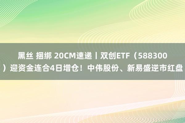 黑丝 捆绑 20CM速递丨双创ETF（588300）迎资金连合4日增仓！中伟股份、新易盛逆市红盘