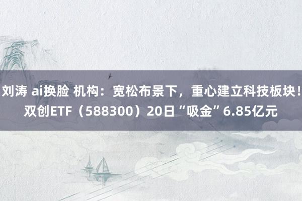 刘涛 ai换脸 机构：宽松布景下，重心建立科技板块！双创ETF（588300）20日“吸金”6.85亿元