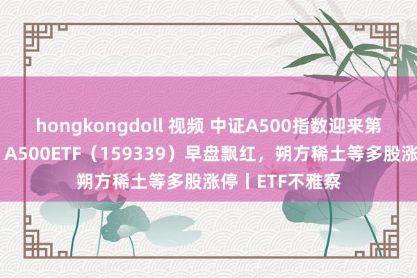 hongkongdoll 视频 中证A500指数迎来第二波产物上报，A500ETF（159339）早盘飘红，朔方稀土等多股涨停丨ETF不雅察