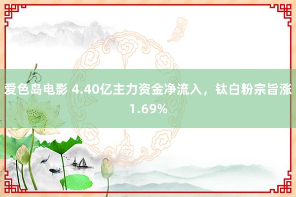 爱色岛电影 4.40亿主力资金净流入，钛白粉宗旨涨1.69%