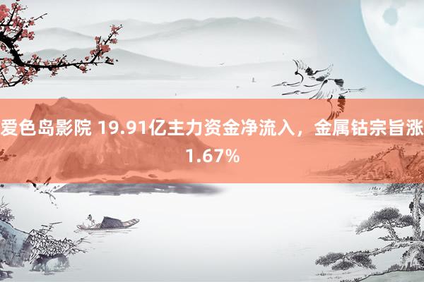 爱色岛影院 19.91亿主力资金净流入，金属钴宗旨涨1.67%