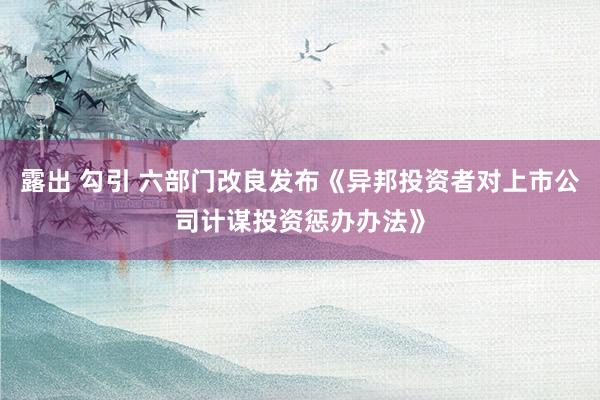 露出 勾引 六部门改良发布《异邦投资者对上市公司计谋投资惩办办法》