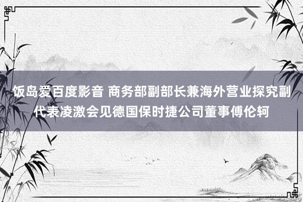 饭岛爱百度影音 商务部副部长兼海外营业探究副代表凌激会见德国保时捷公司董事傅伦轲