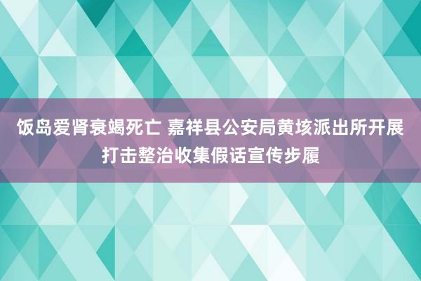 饭岛爱肾衰竭死亡 嘉祥县公安局黄垓派出所开展打击整治收集假话宣传步履