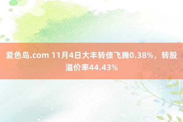 爱色岛.com 11月4日大丰转债飞腾0.38%，转股溢价率44.43%