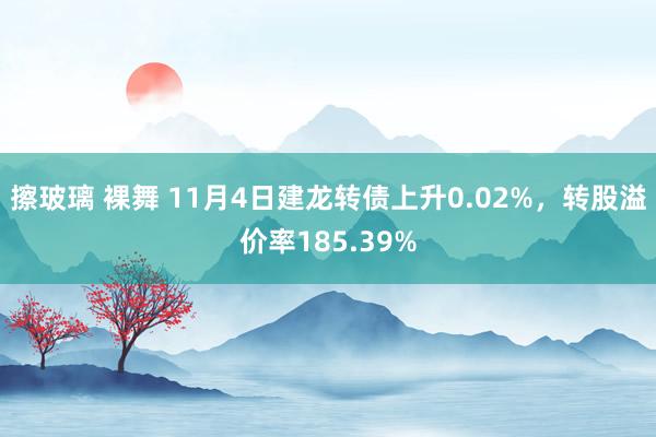 擦玻璃 裸舞 11月4日建龙转债上升0.02%，转股溢价率185.39%