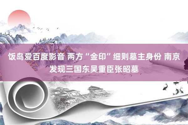 饭岛爱百度影音 两方“金印”细则墓主身份 南京发现三国东吴重臣张昭墓